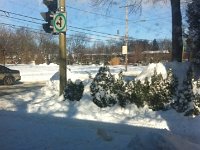 IMG 5787