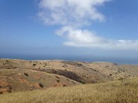 IMG 7484