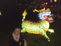 IMG 9335
