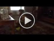MOV 8784