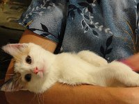 photo-33