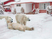 winter fun